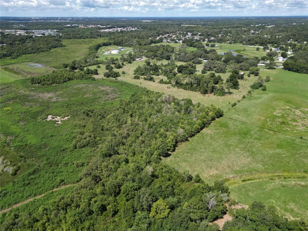 8315 Tom Costine Road Lakeland, FL 33809 - Photo 41 of 50