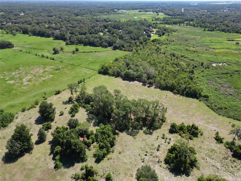 8315 Tom Costine Road Lakeland, FL 33809 - Photo 47 of 50