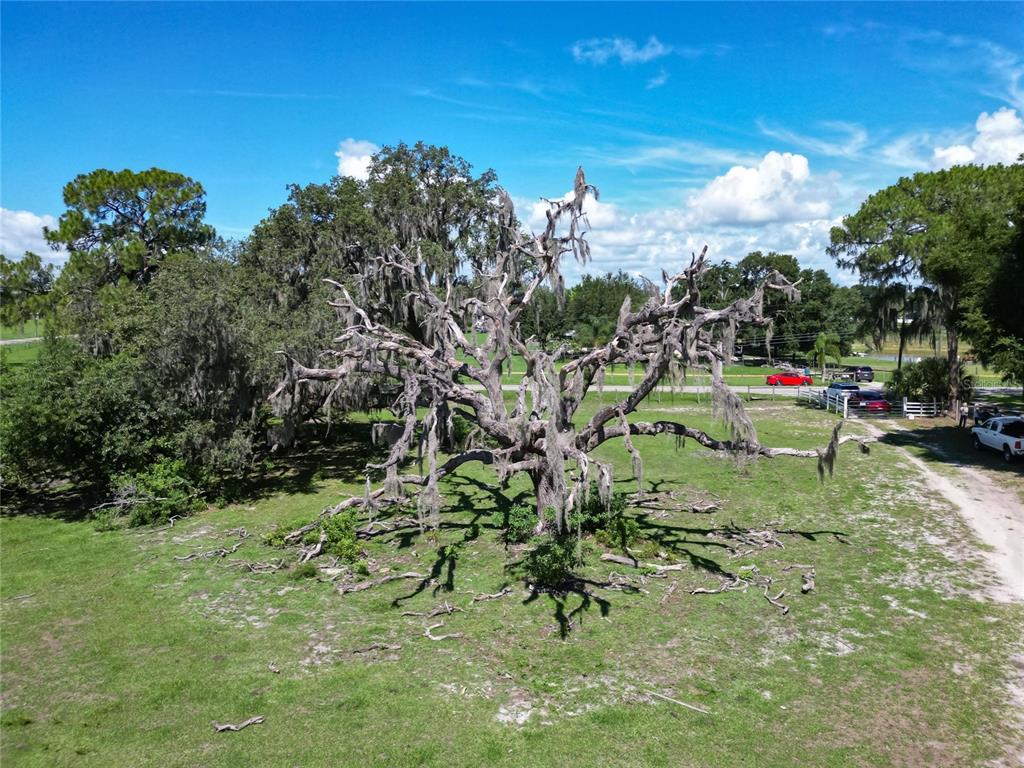 8315 Tom Costine Road Lakeland, FL 33809 - Photo 7 of 50