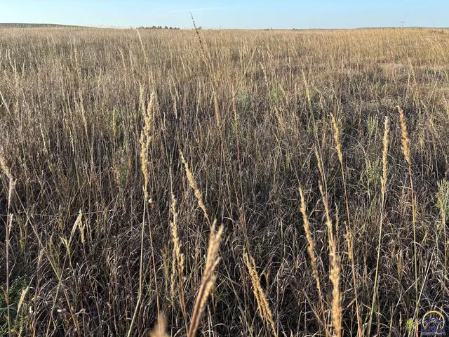 $47,400 | 1961 Highway 50, Strong City, KS 66869