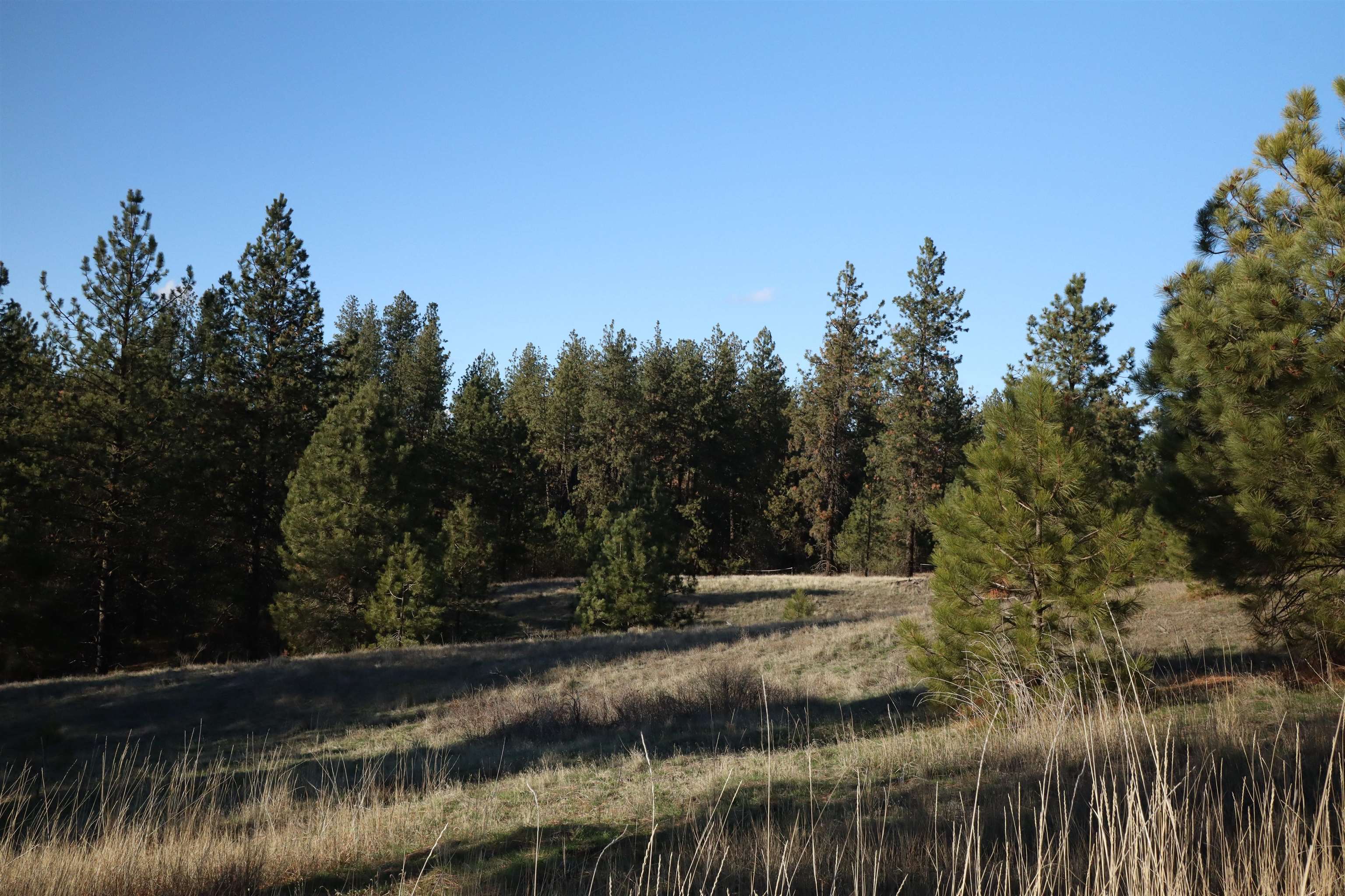 3010 North Ritchey Road Medical Lake, WA 99022 - Photo 5 of 16