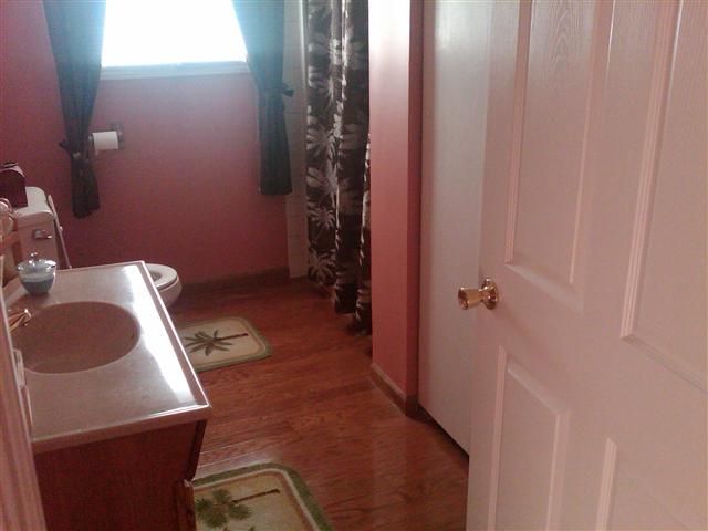 3555 Connors Road Emmett, MI 48022 - Photo 14 of 30 This is a view of bath 2.