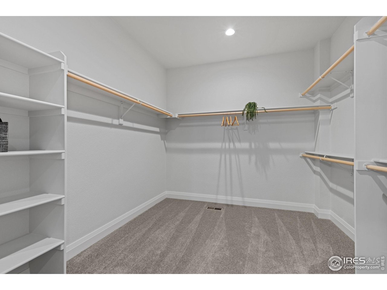 217 57th Avenue Greeley, CO 80634 - Photo 23 of 35 a view of an empty walk in closet