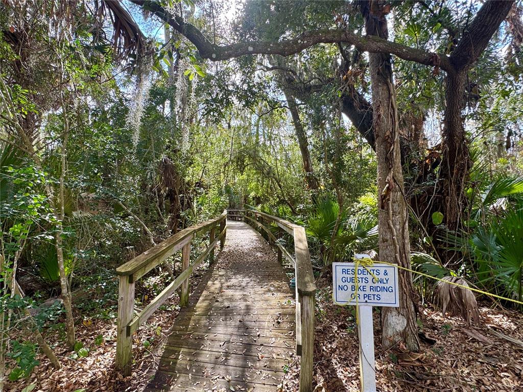 747 Navigators Way Edgewater, FL 32141 - Photo 67 of 73