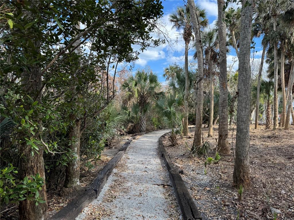 747 Navigators Way Edgewater, FL 32141 - Photo 68 of 73 a view of a yard with plants and trees