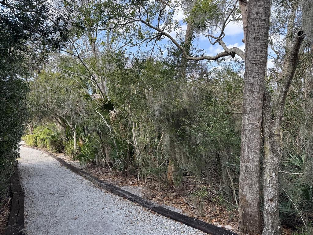 747 Navigators Way Edgewater, FL 32141 - Photo 69 of 73 a view of a yard with a tree