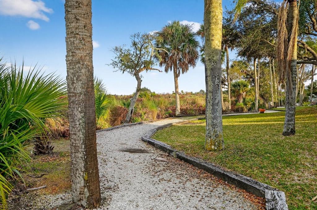 747 Navigators Way Edgewater, FL 32141 - Photo 70 of 73 a view of a yard with palm tree