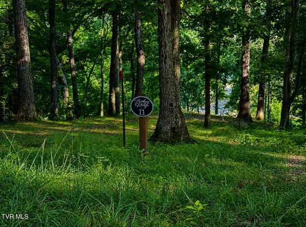 $279,900 | 2297 Turkey Ridge Lane, Unit 11, Piney Flats, TN 37686
