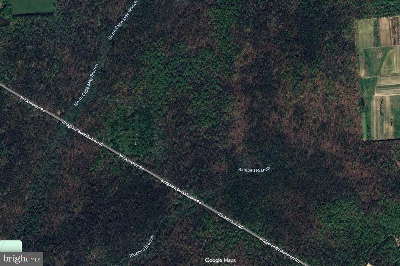 Buckshutem Road Bridgeton, NJ 08302 - Photo 2 of 3