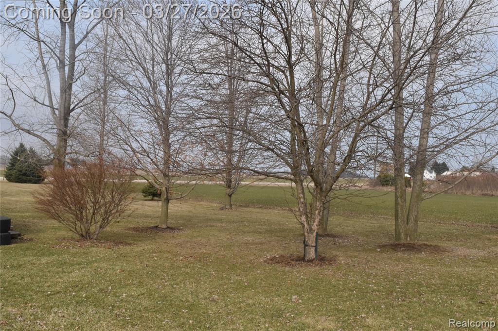 6619 Fisher Road Jeddo, MI 48032 - Photo 5 of 22