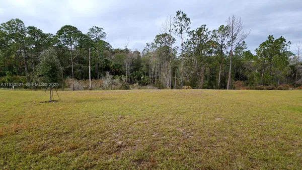 a view of outdoor space with trees all around