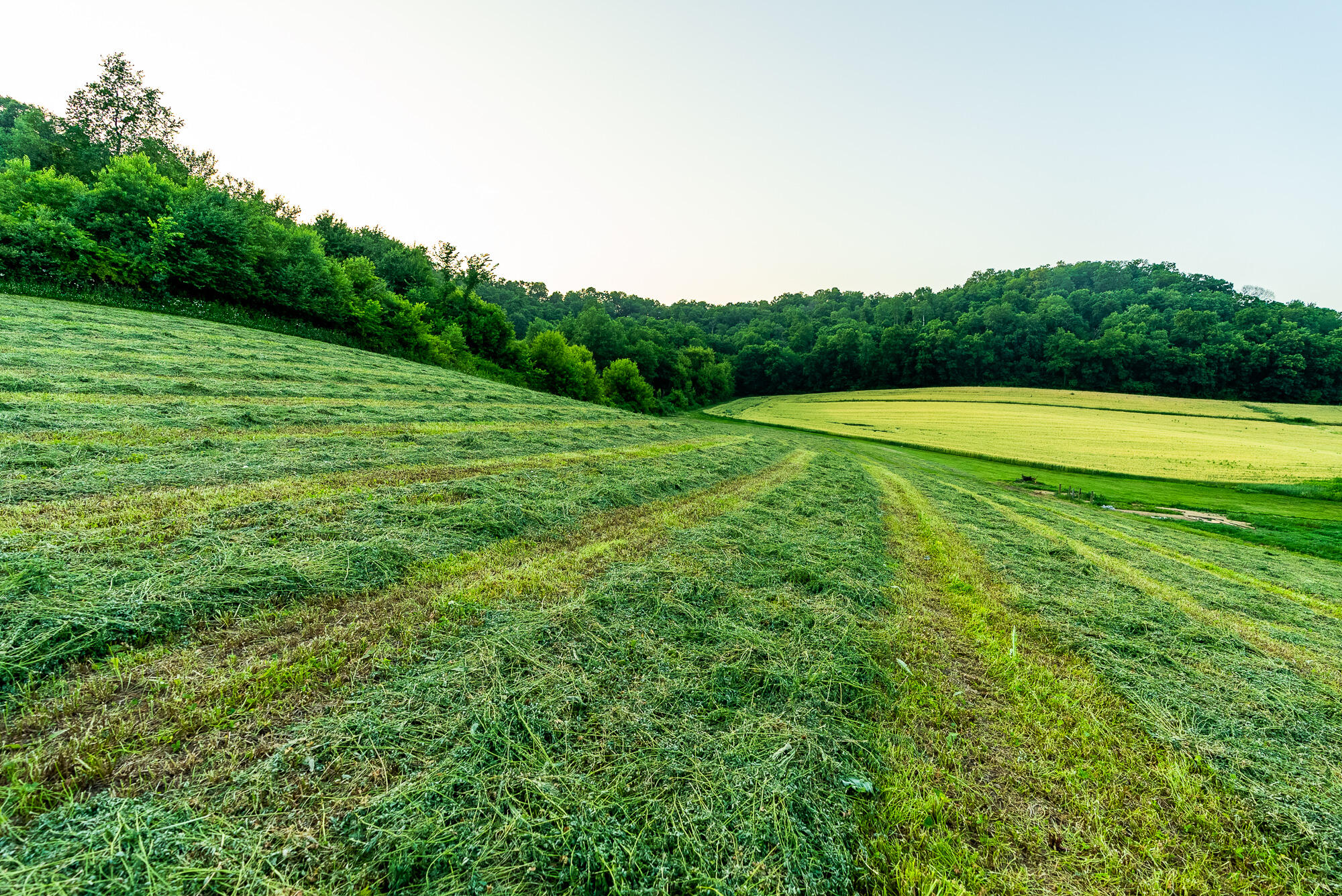 Lt0 Smyth Hollow Road Hillpoint, WI 53937 - Photo 11 of 45 Richland-County-WI-61-Acres-Land-For-Sal