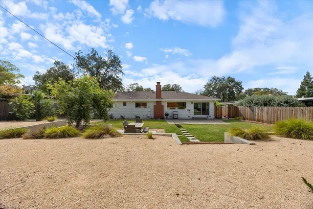 a view of a park with plants and a trees
