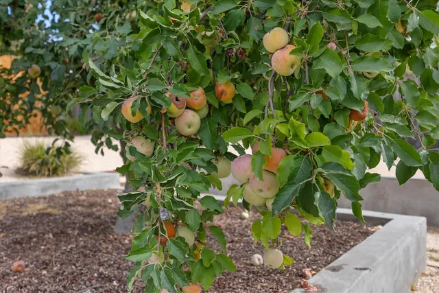 an aerial view of a house with a garden and swimming pool