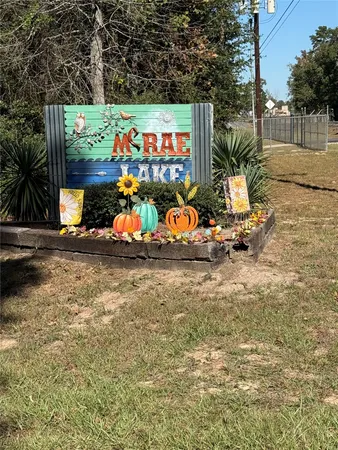 an outdoor space with garden