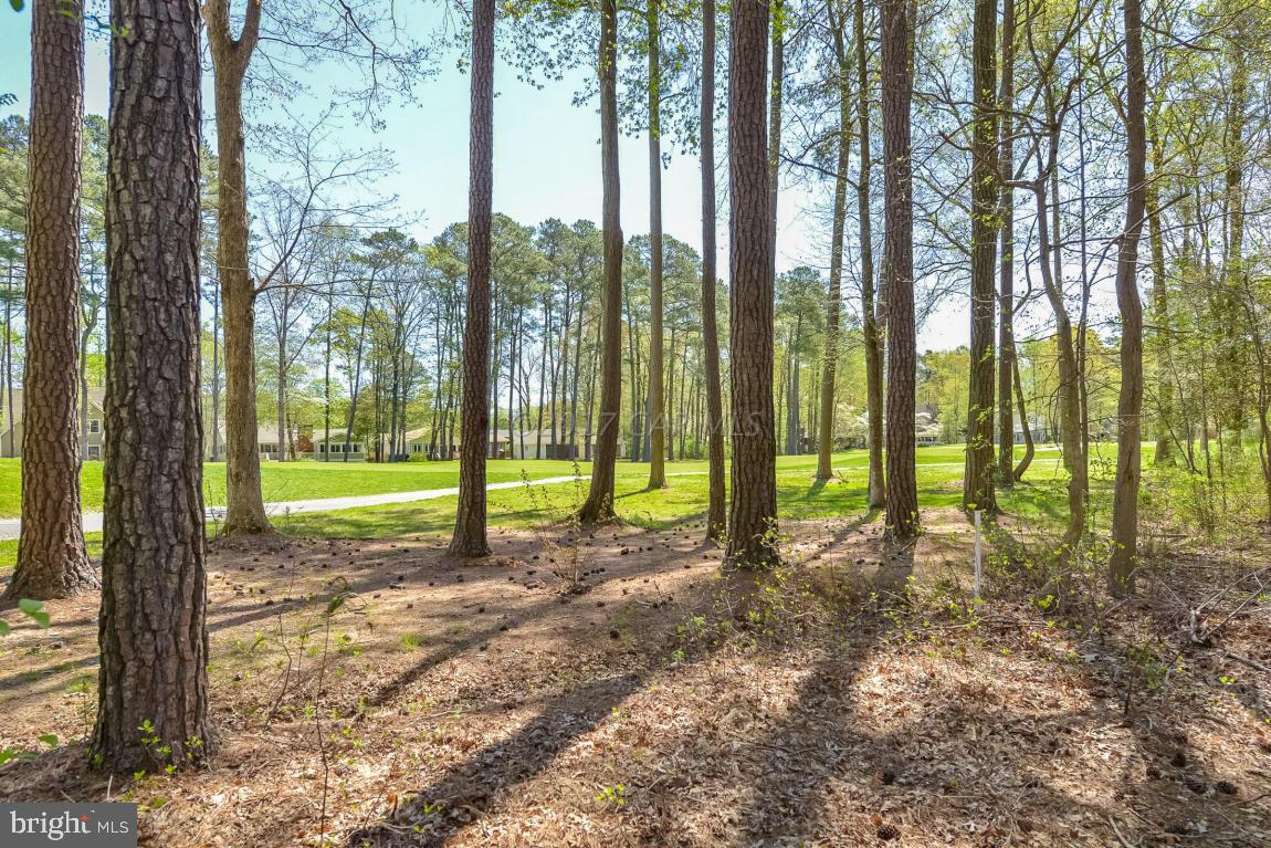 125 Windjammer Road Ocean Pines, MD 21811 - Photo 3 of 36