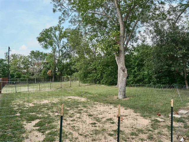 a view of a garden with a tree