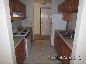 1413 East Madison Street Springfield, IL 62702 - Photo 5 of 6