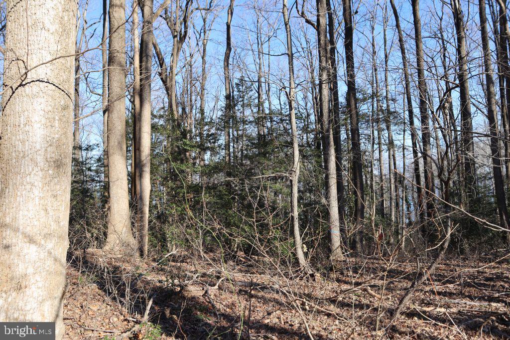 Mt Prospect Road Laneview, VA 22504 - Photo 8 of 10
