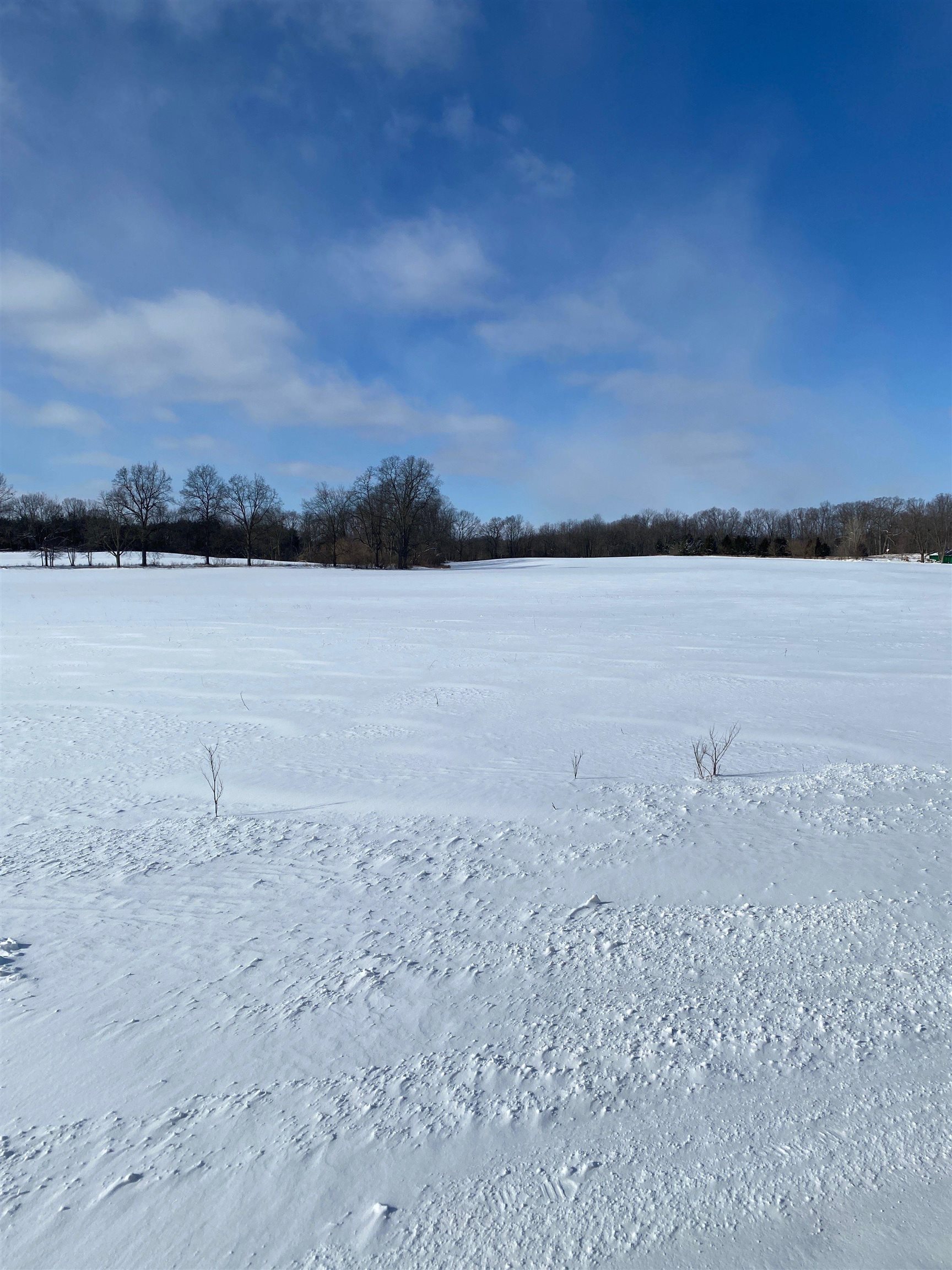 0 Fenner (010) Road Perry, MI 48872 - Photo 2 of 5