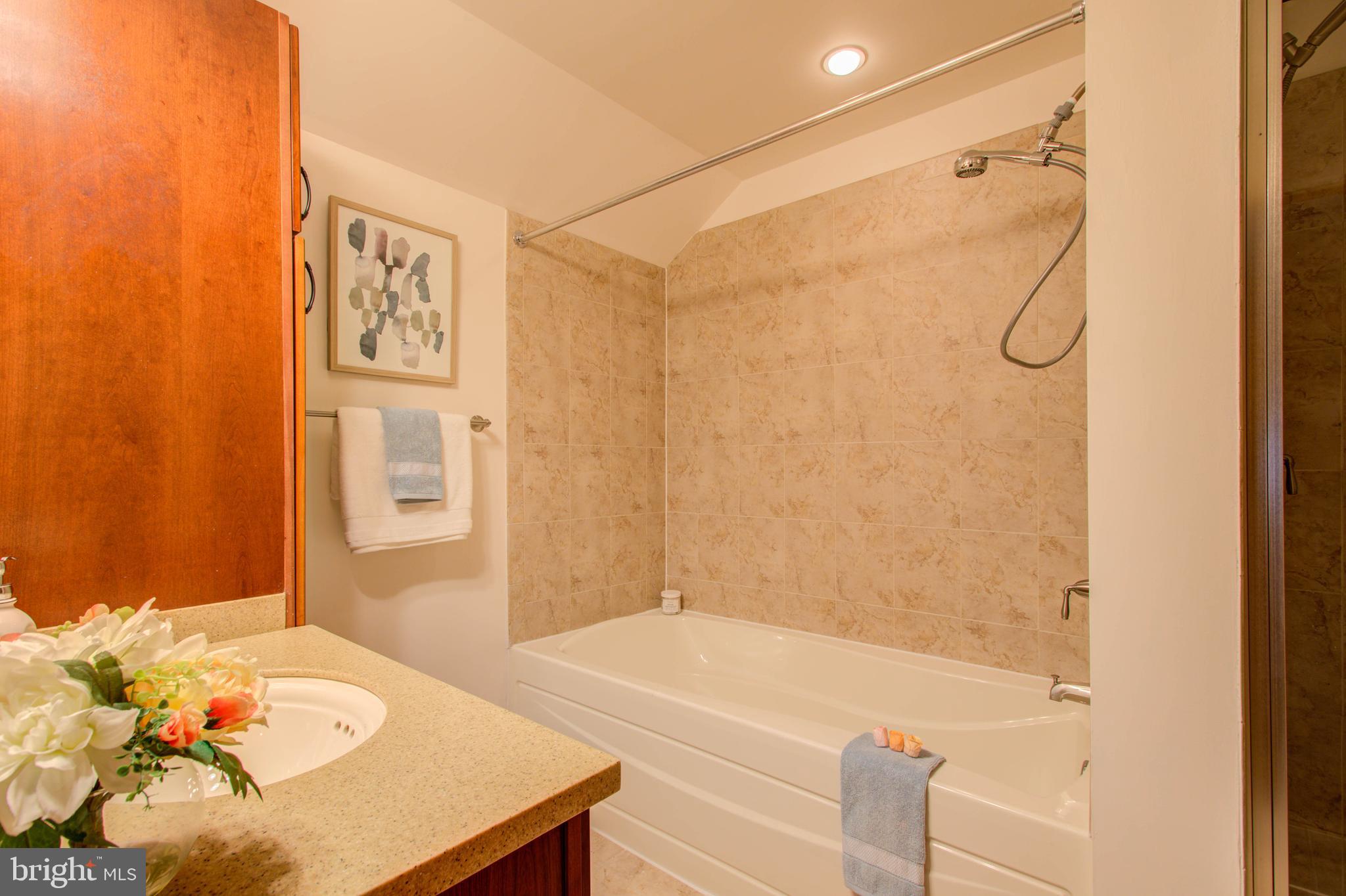 9610 Dewitt Drive, Unit PH410 Silver Spring, MD 20910 - Photo 19 of 64