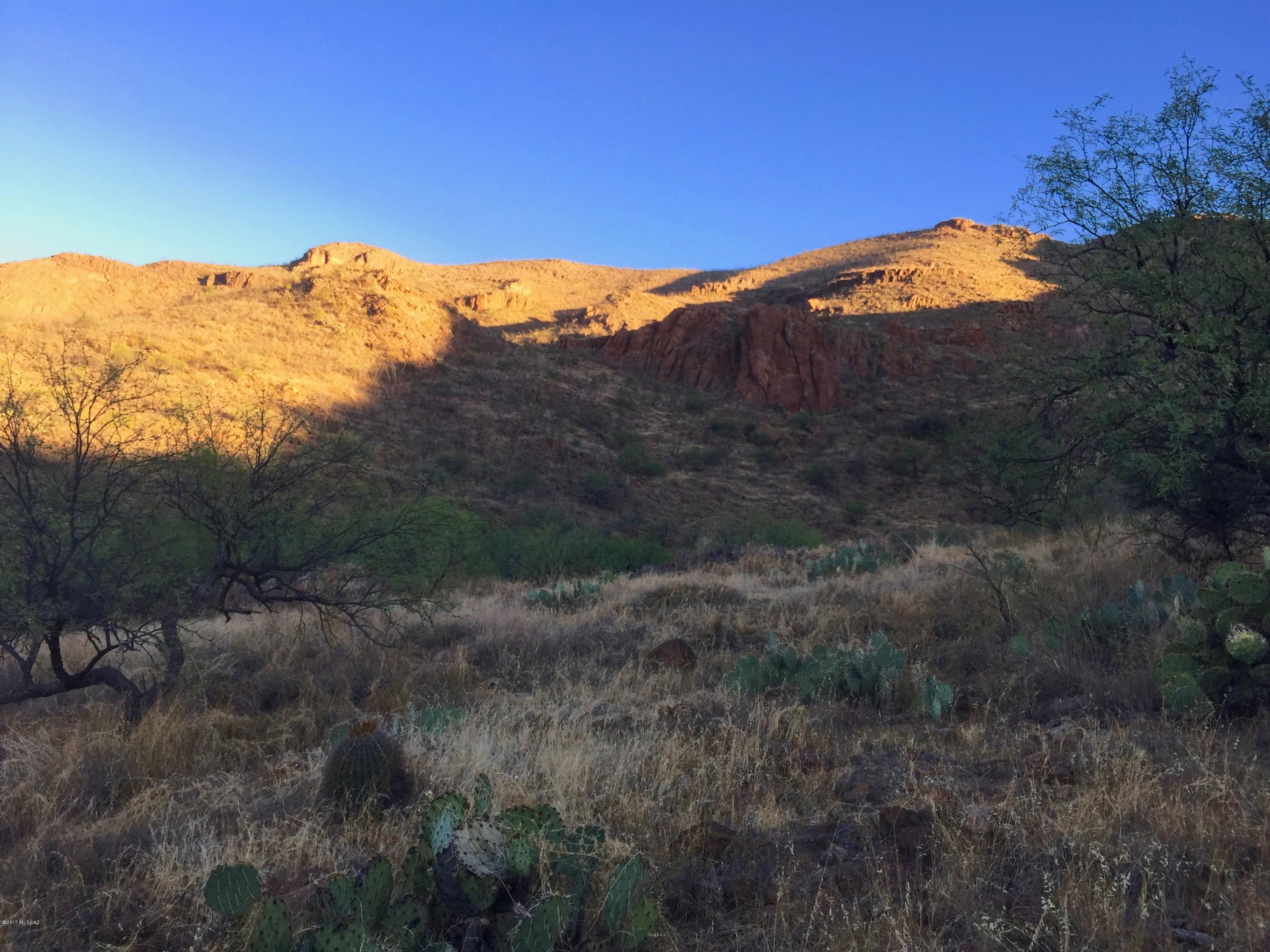 96 Salida Springs Way, Unit 123 Rio Rico, AZ 85648 - Photo 9 of 12