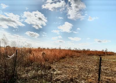 0 St Highway Slocomb, AL 36375 - Photo 4 of 8