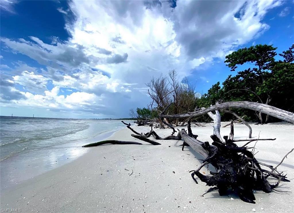 4228 Crayton Road Naples, FL 34103 - Photo 12 of 13 a view of a yard with table and chairs