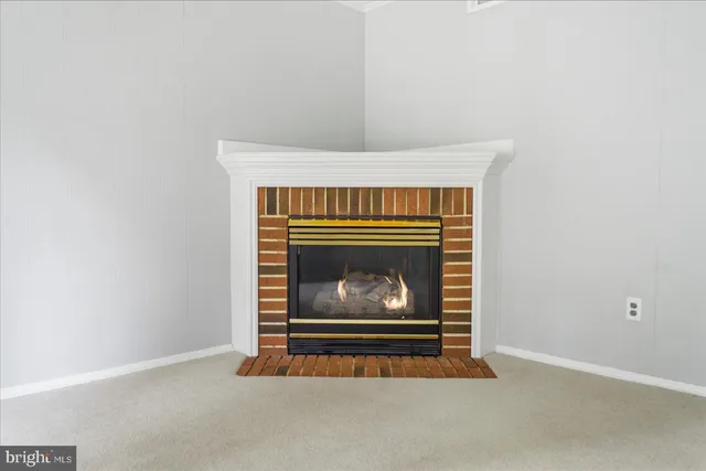 a view of fireplace with washer and fireplace