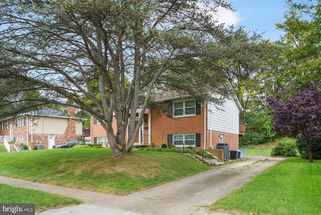 a view of a yard in front of a house with plants and large tree