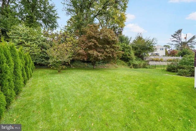 a view of yard with green space