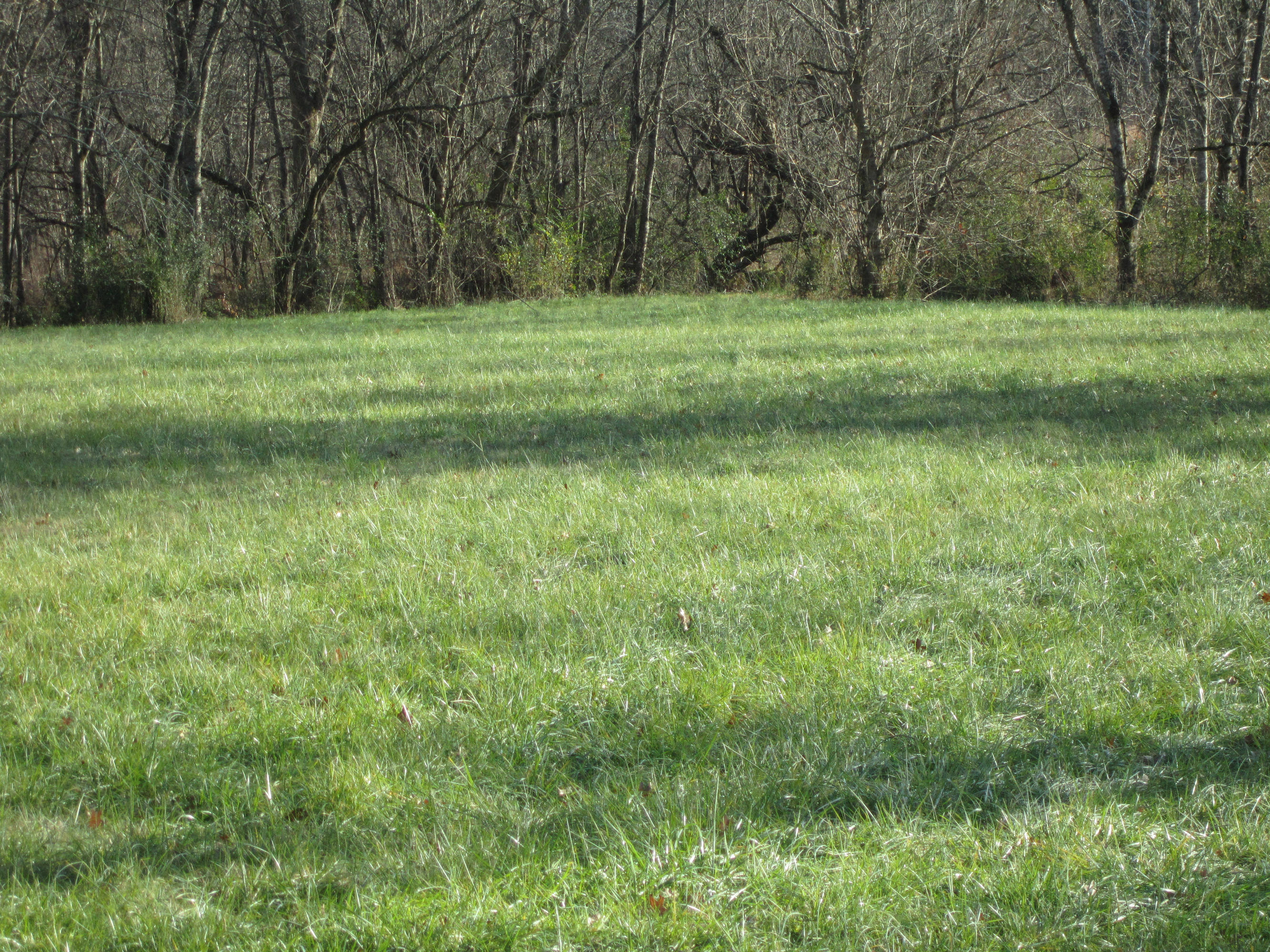 240 Blockhouse Road Maryville, TN 37803 - Photo 22 of 22 Back Lot