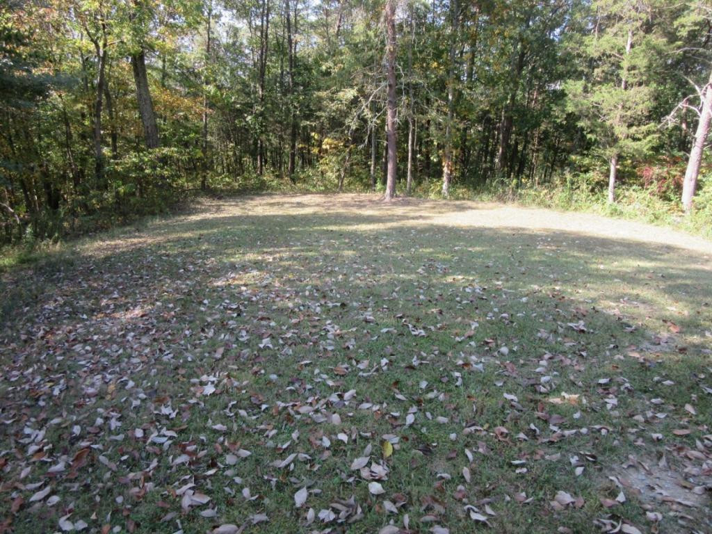 823 Oak Hills Road Mosheim, TN 37818 - Photo 13 of 20 backyard