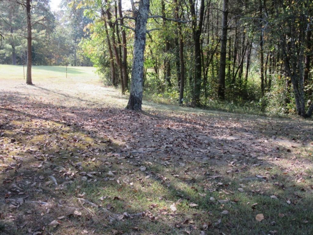 823 Oak Hills Road Mosheim, TN 37818 - Photo 14 of 20 property view