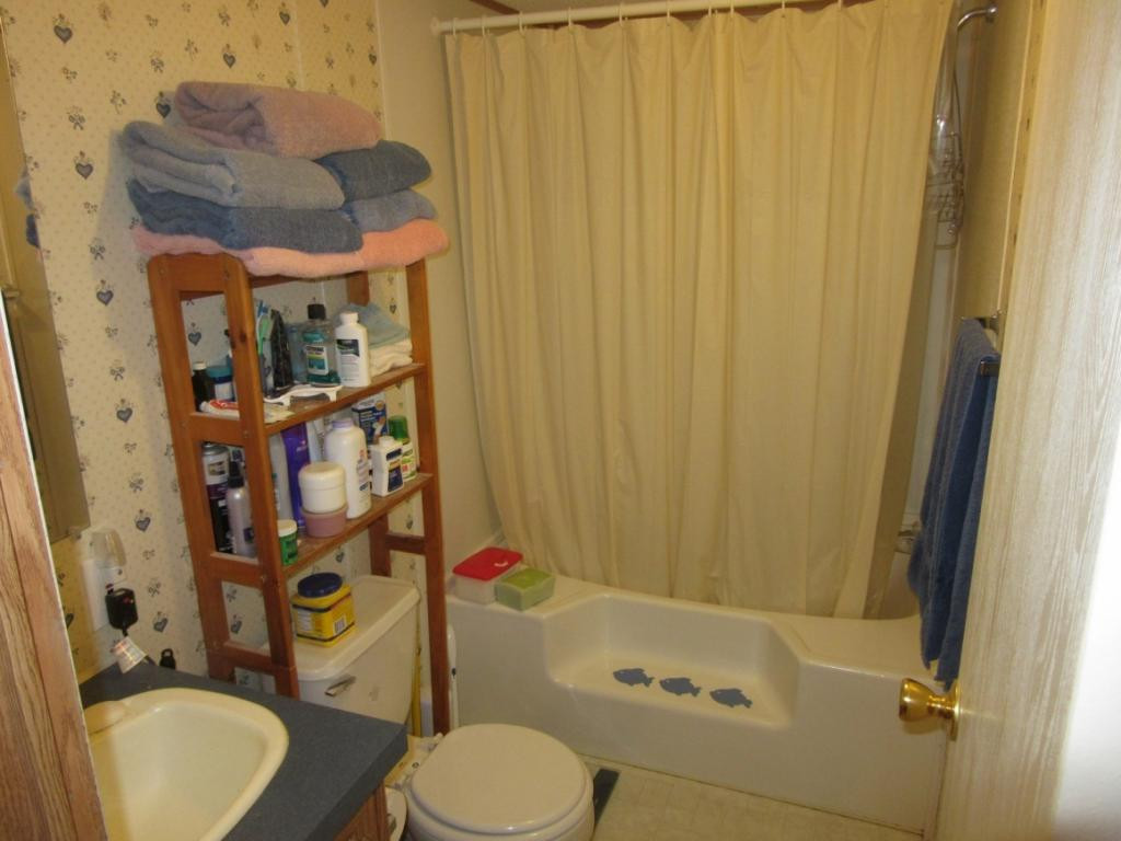 823 Oak Hills Road Mosheim, TN 37818 - Photo 7 of 20 bathroom