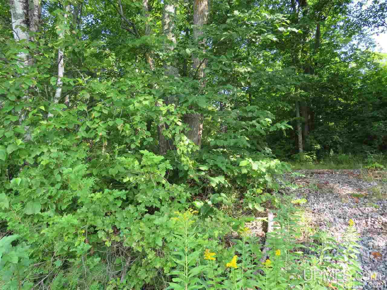 112 Green Road Michigamme, MI 49861 - Photo 26 of 32 Gallery Image 26