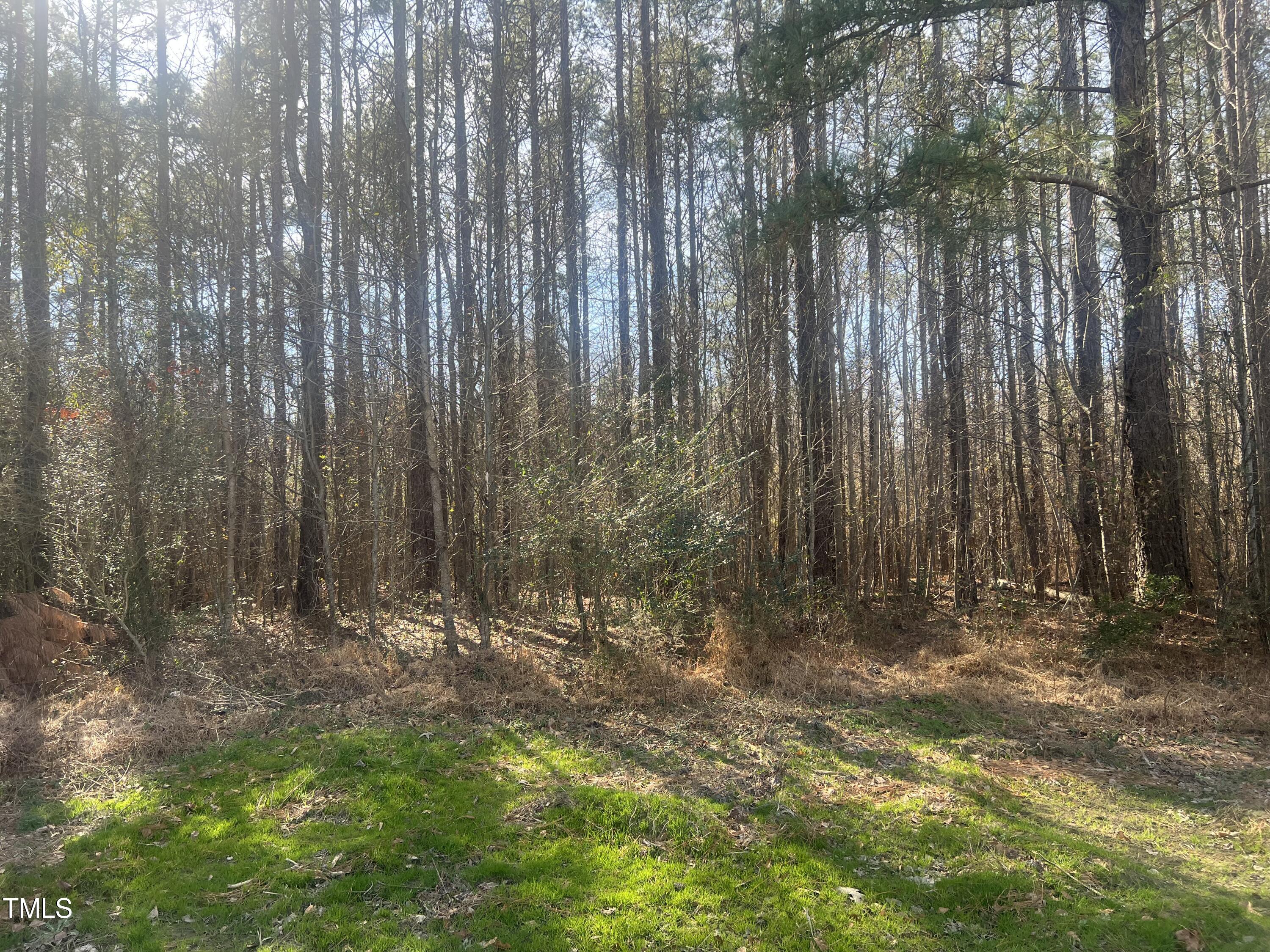 578 Gardner Road Four Oaks, NC 27524 - Photo 6 of 13 IMG_8873
