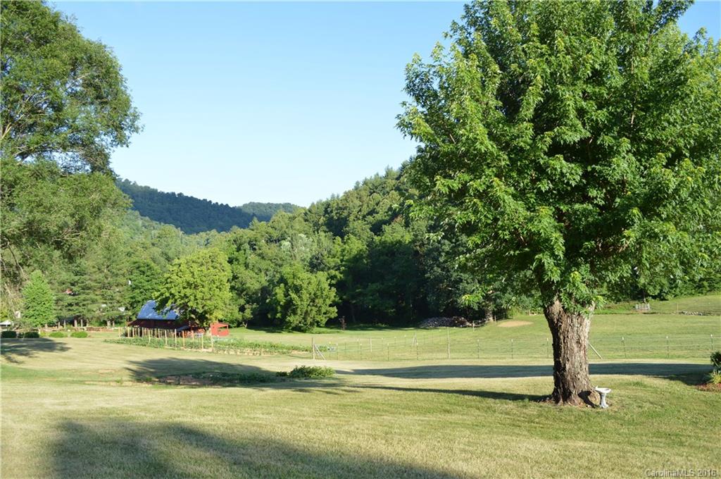 283 Rice Cove Road Canton, NC 28716 - Photo 22 of 24 a view of a yard with a large trees