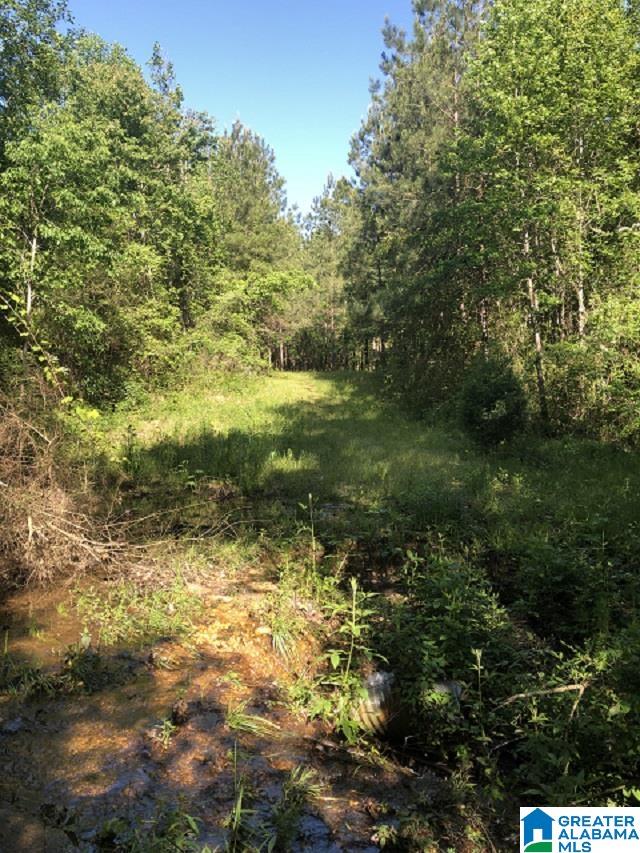 1075 County Road 271, Unit 1 Jemison, AL 35085 - Photo 7 of 8