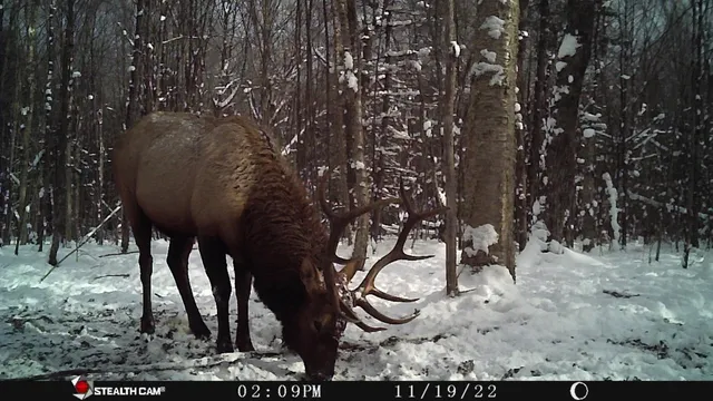 $950,000 | 75500 Joe Rein Road, Glidden, WI 54527