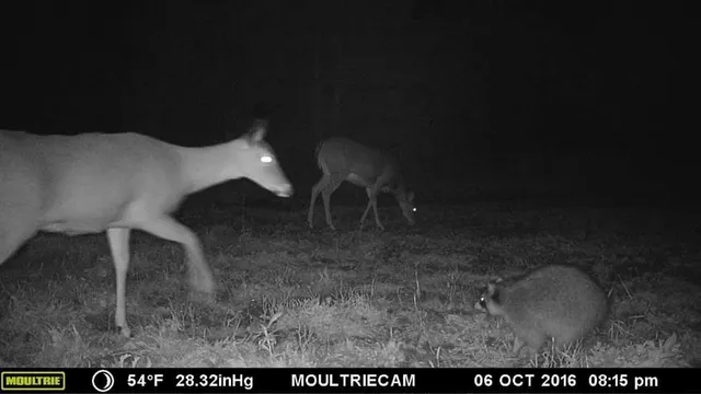 $950,000 | 75500 Joe Rein Road, Glidden, WI 54527