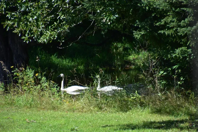 $950,000 | 75500 Joe Rein Road, Glidden, WI 54527