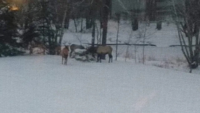 $950,000 | 75500 Joe Rein Road, Glidden, WI 54527