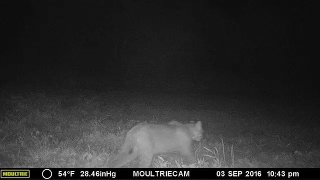 $950,000 | 75500 Joe Rein Road, Glidden, WI 54527