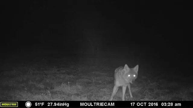 $950,000 | 75500 Joe Rein Road, Glidden, WI 54527