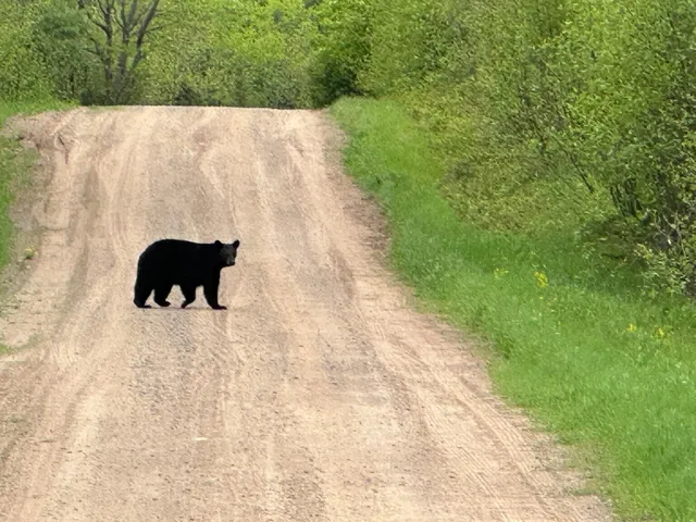 $950,000 | 75500 Joe Rein Road, Glidden, WI 54527