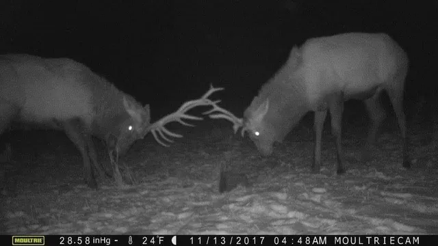 $950,000 | 75500 Joe Rein Road, Glidden, WI 54527