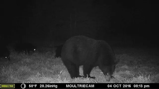 $950,000 | 75500 Joe Rein Road, Glidden, WI 54527