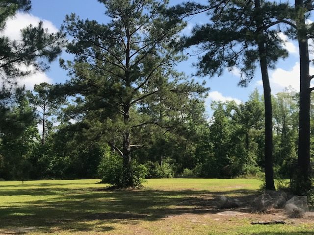 6448 Southeast Farm Road Lee, FL 32059 - Photo 3 of 5 Gallery Image 3
