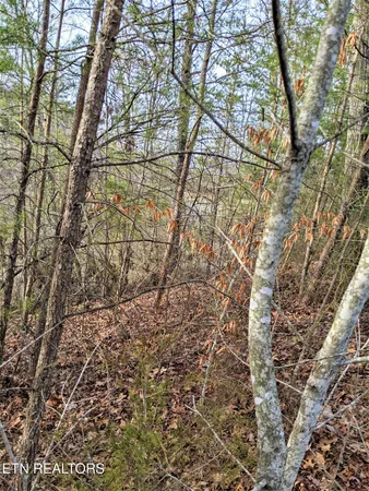 $99,000 | 6220-6224 Outlook Trail, Russellville, TN 37860